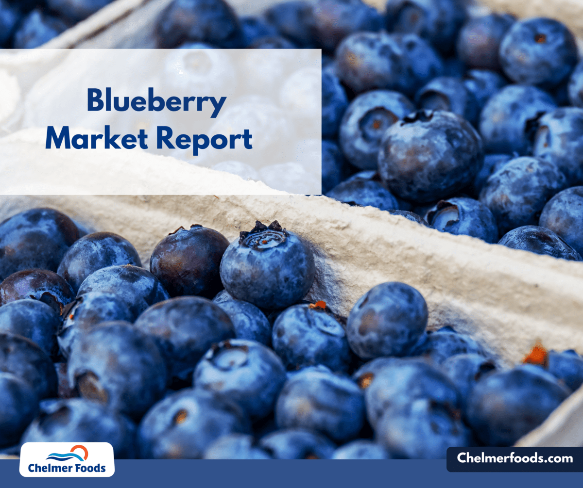 North American wild blueberry pre-harvest and market situation for 2022.