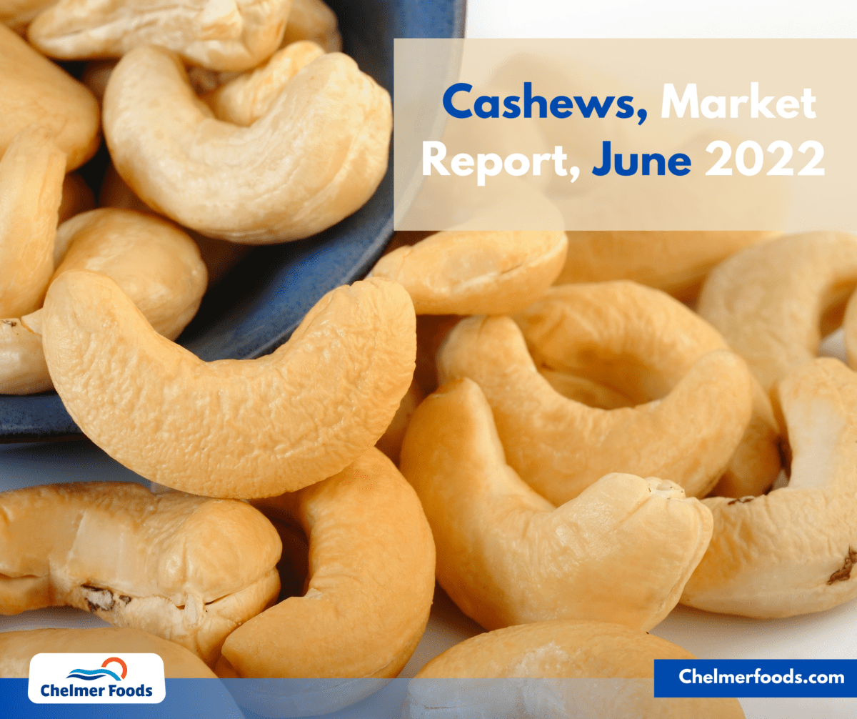 Cashew, Market Report, June 2022