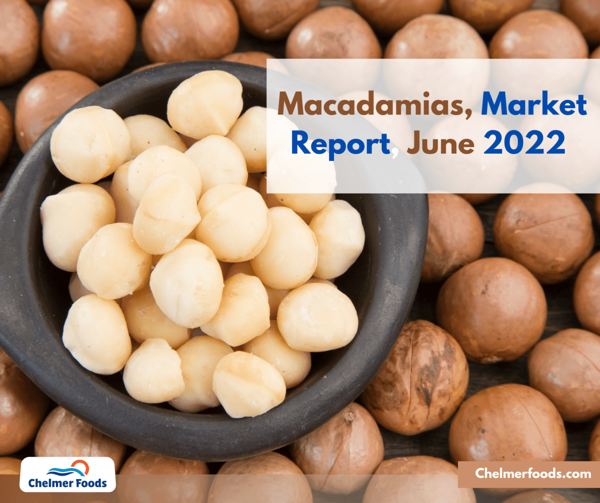 Macadamias, Market Report, 6 June 2022