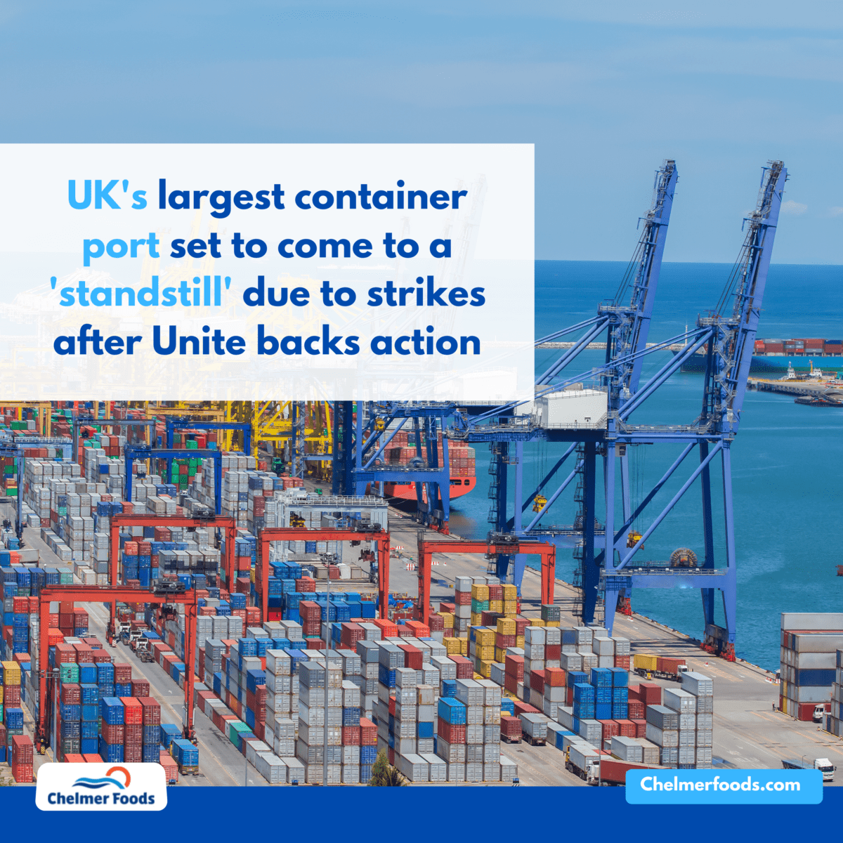 UK's largest container port set to come to a 'standstill' due to strikes after Unite backs action