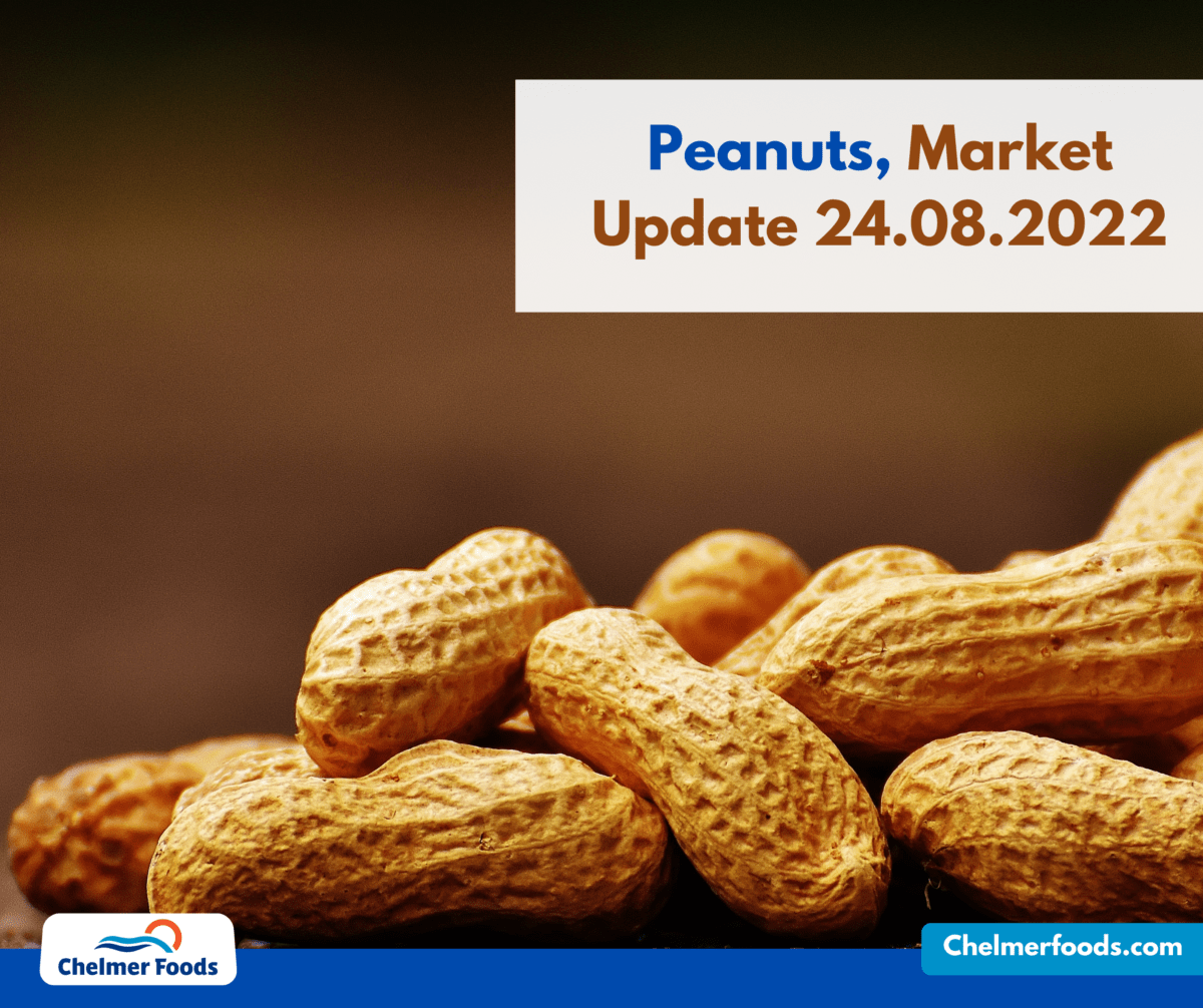 Peanuts, Market Update 24.08.2022