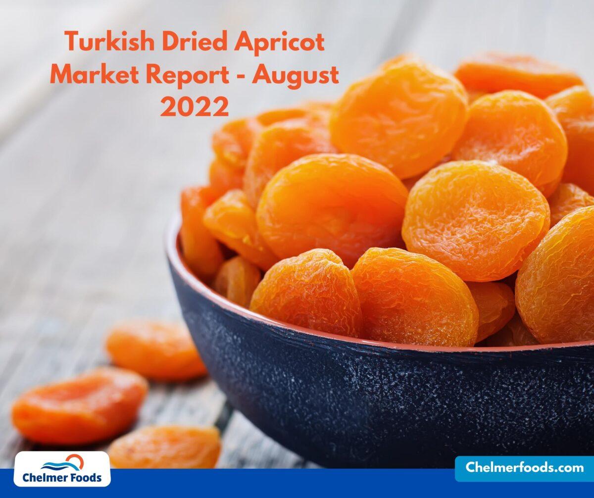 Turkish Apricot Market Outlook August 2022
