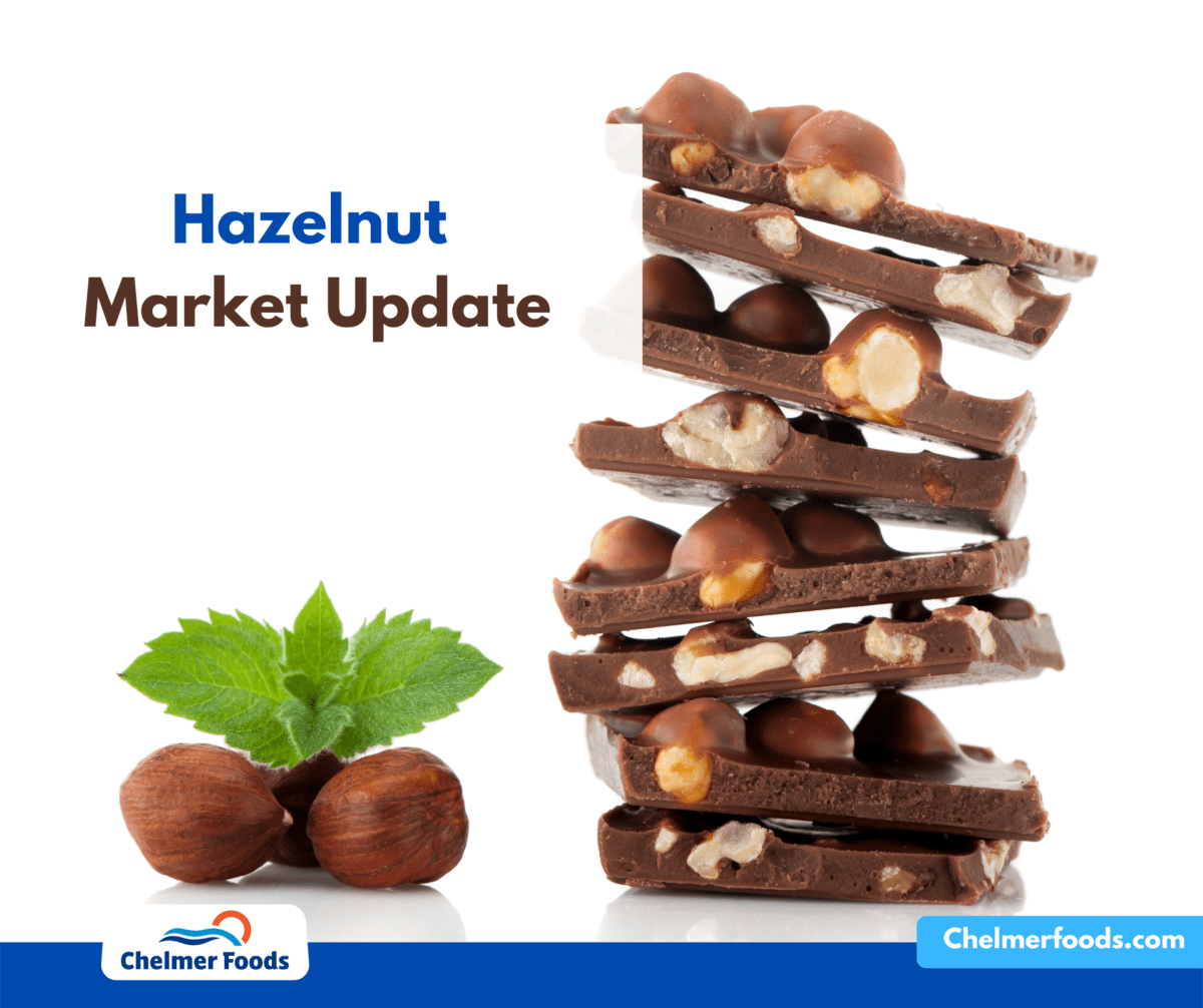 Hazelnuts, Market Update 01.08.2022