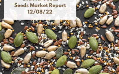 Seed Market Outlook - 12/08/22