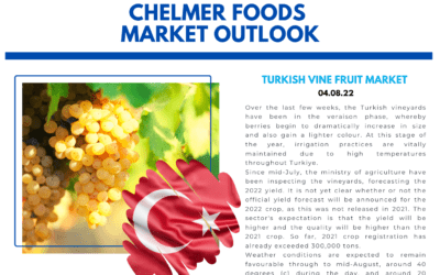 Chelmer Foods Turkish Vine Fruit Market Outlook - 04/08/22