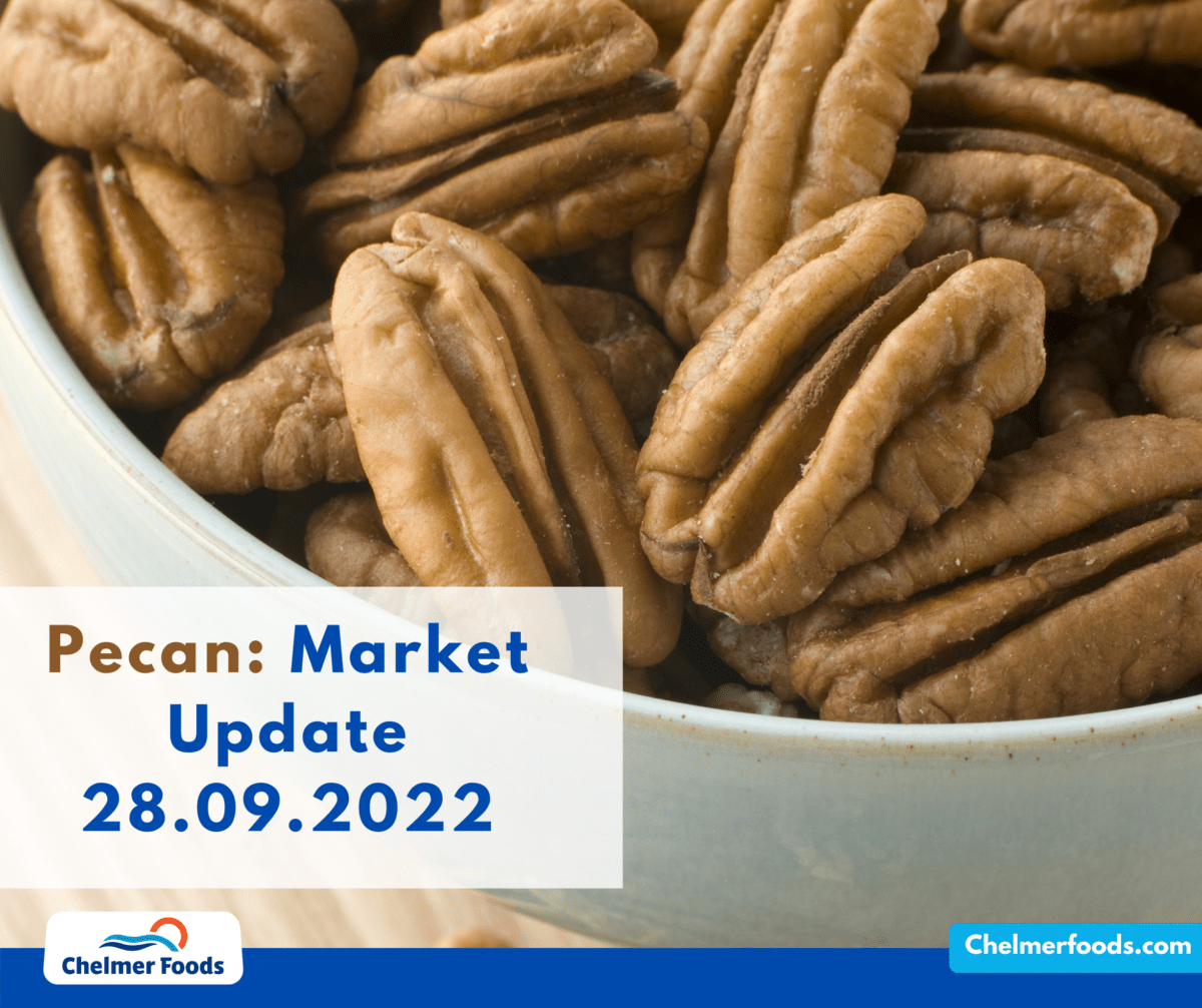 US Pecan Market Update, 28.09.2022