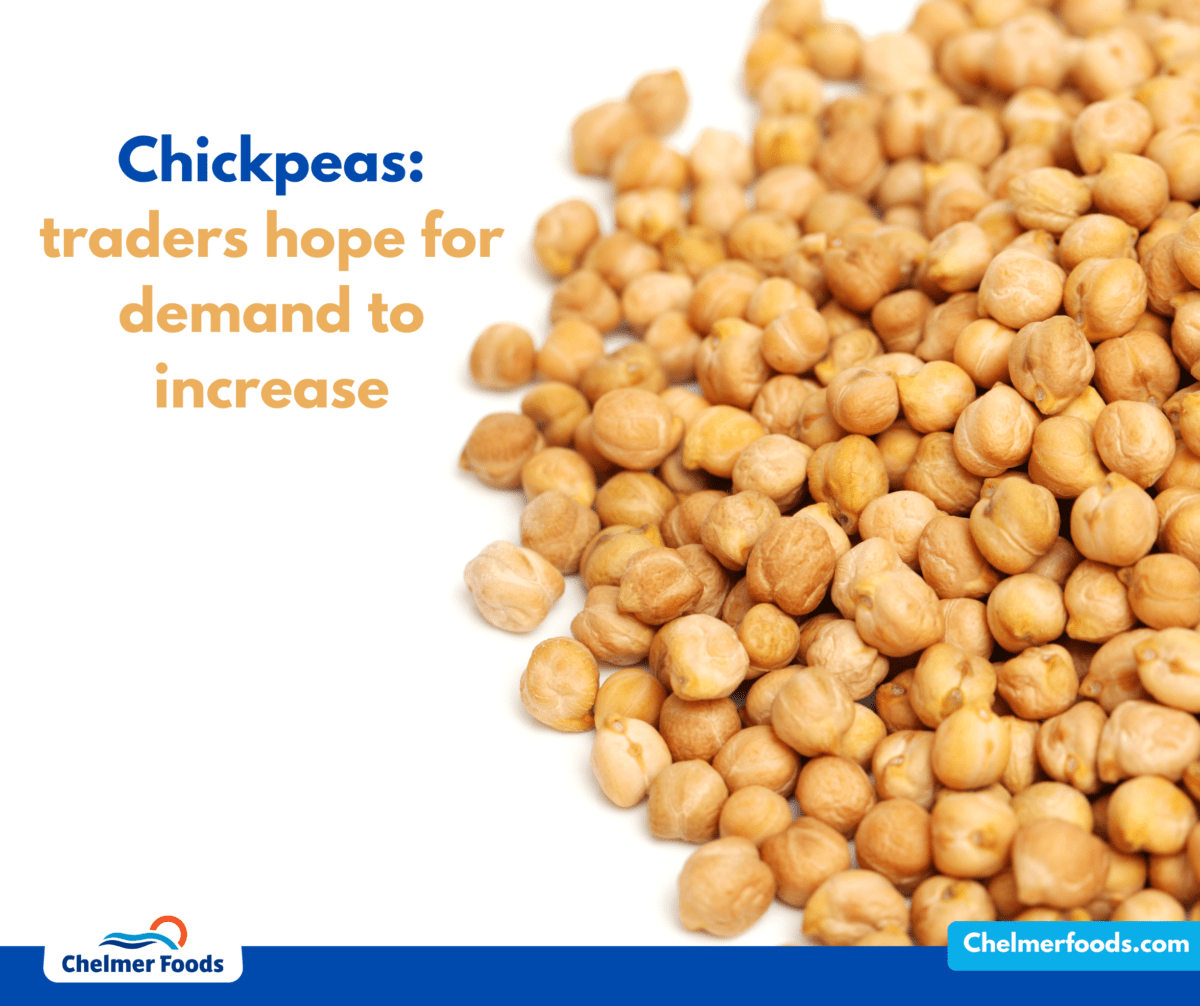 Chickpeas: traders hope for demand to increase
