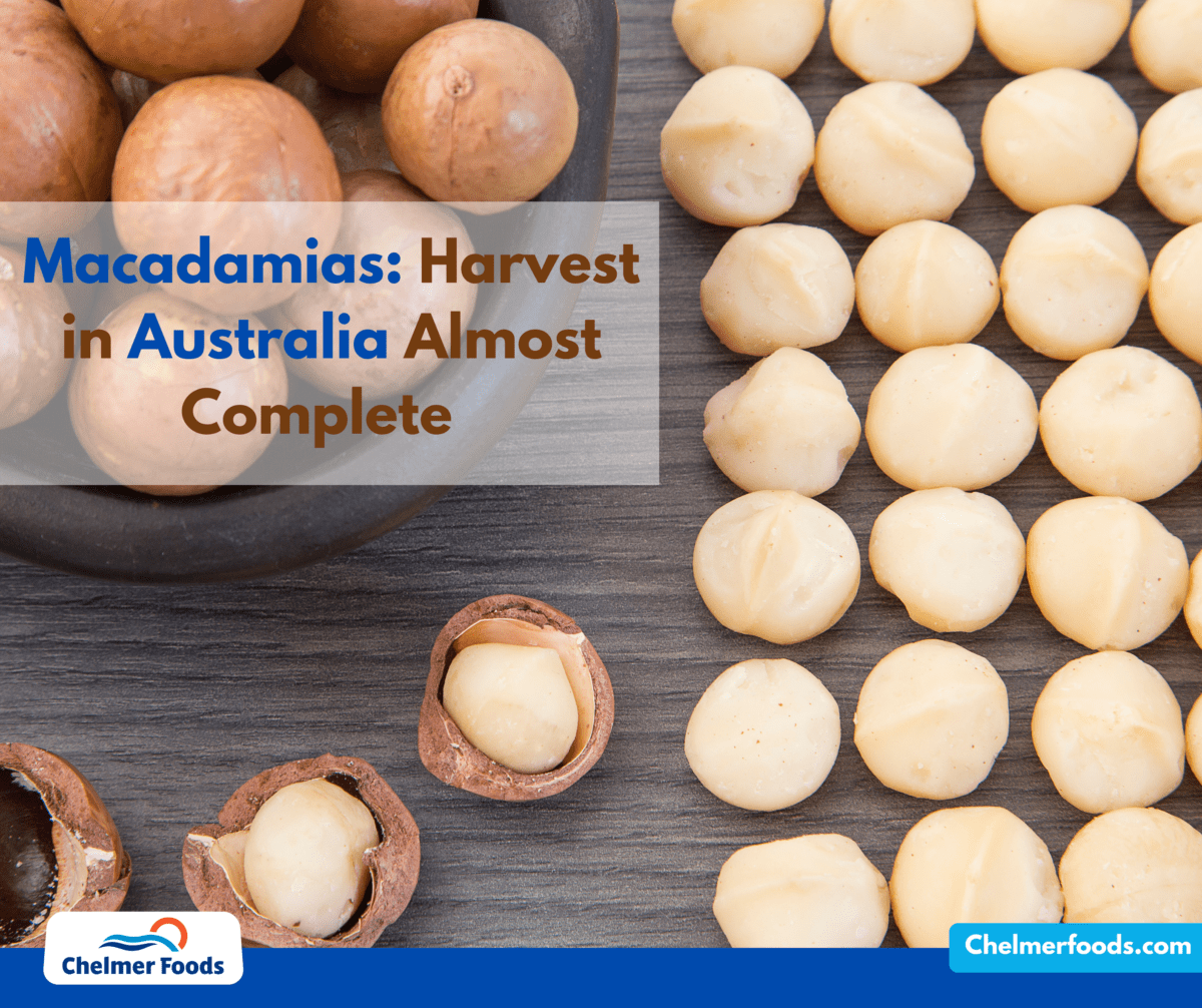 Macadamias: Harvest in Australia Almost Complete