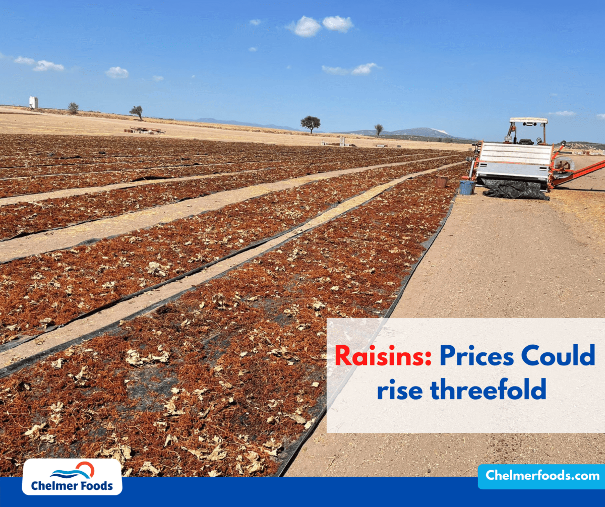Raisins: Price increases