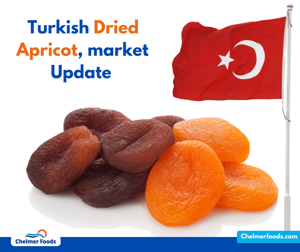 Turkish Apricot Market Update, 14.09.2022