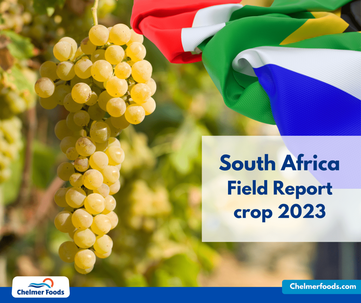 South Africa, Crop Report 2023