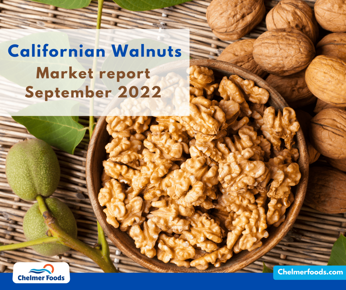 Californian Walnuts, Market Report September 2022