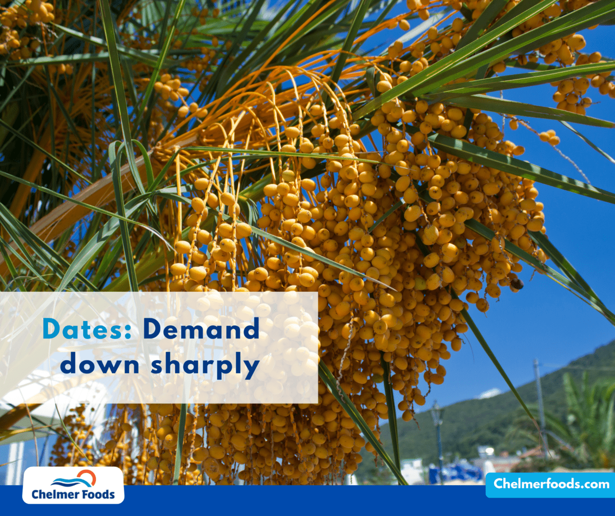 Dates: Exports down sharply