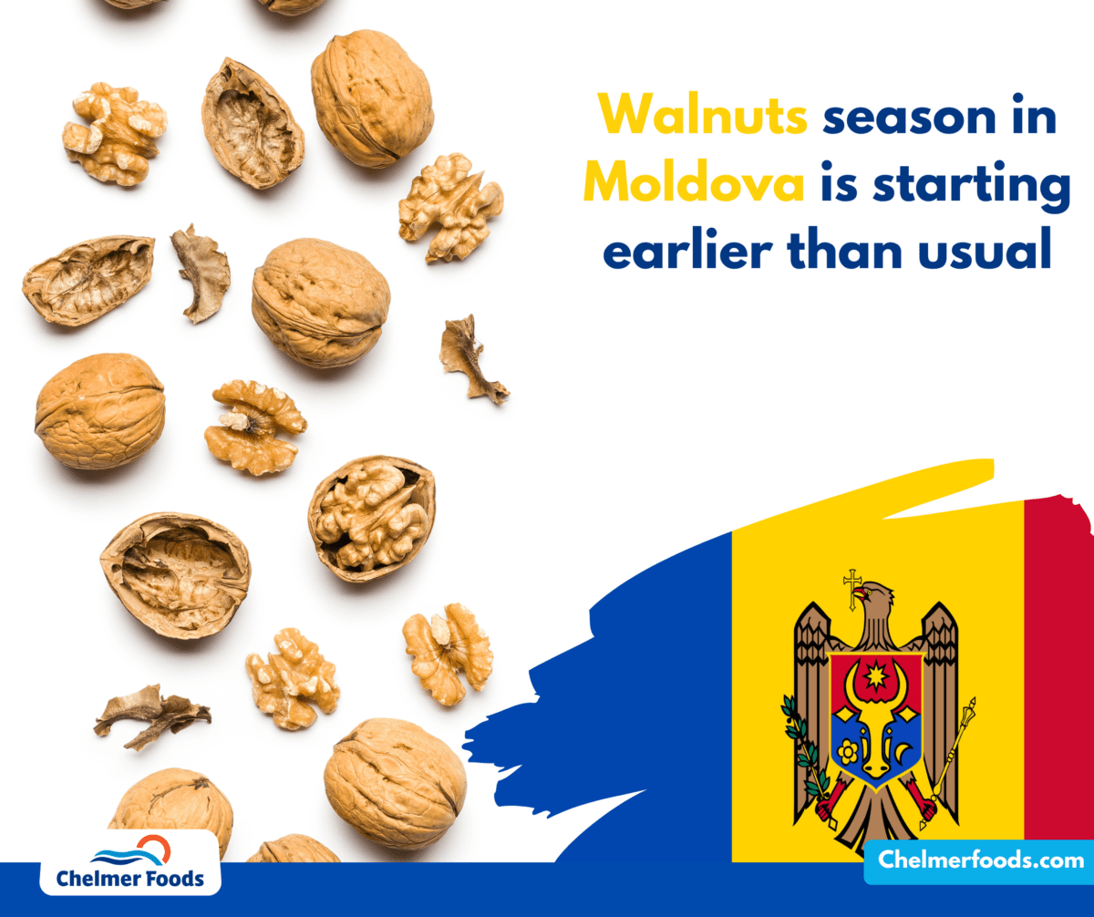 Walnuts season in Moldova is starting earlier than usual