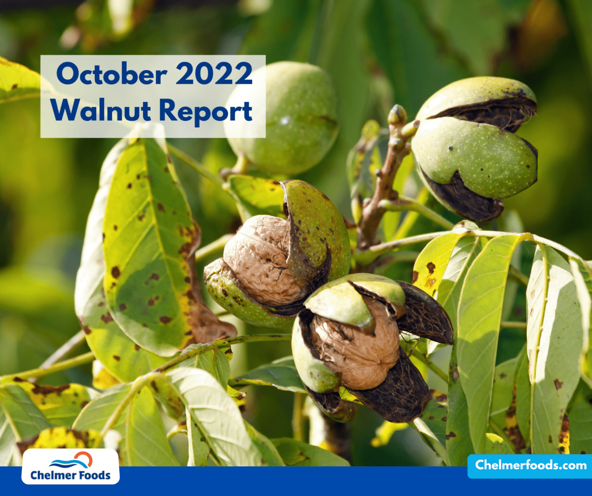 Walnut Report, October 2022