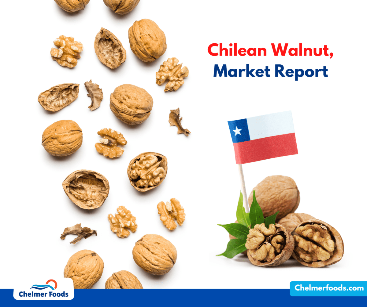 Chilean Walnut Market Report,  November 2022