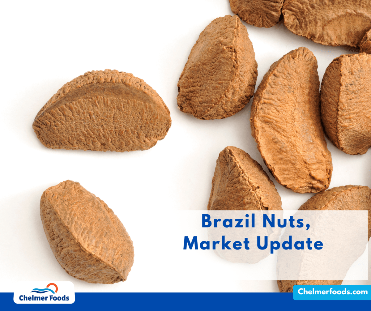 Brazil nuts, Market Update