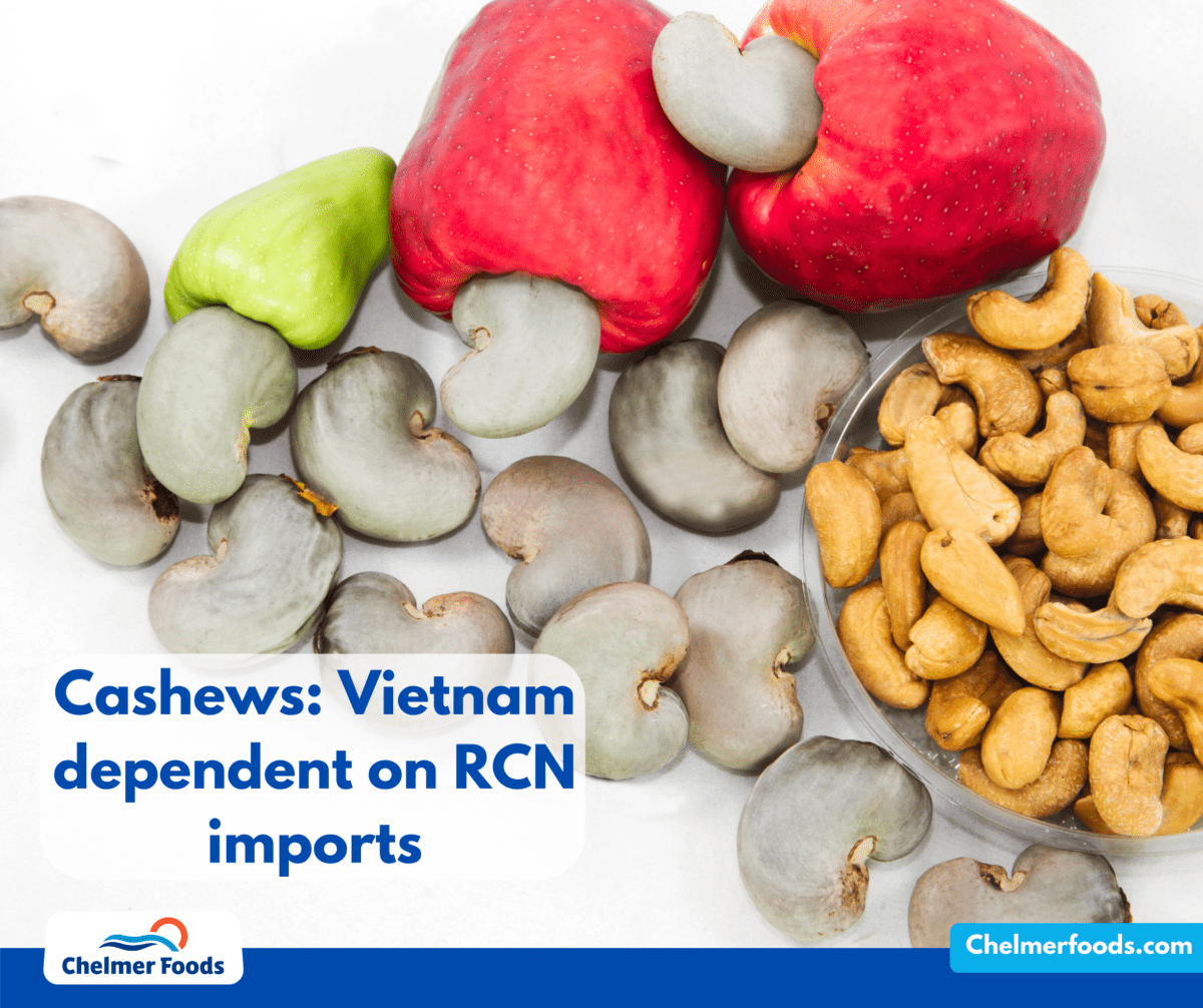 Cashews: Vietnam dependent on RCN imports