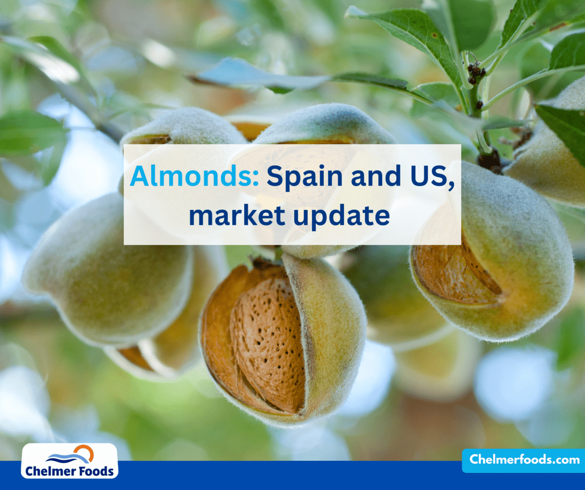 Almonds: Spain and US, market update