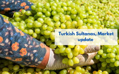 Turkish Sultanas, Market update
