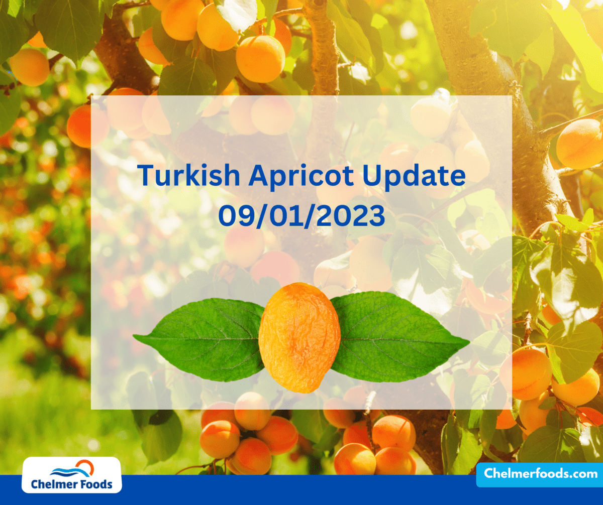 Turkish Apricot Update 09/01/2023