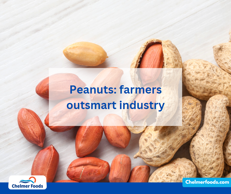 Peanuts: farmers outsmart industry