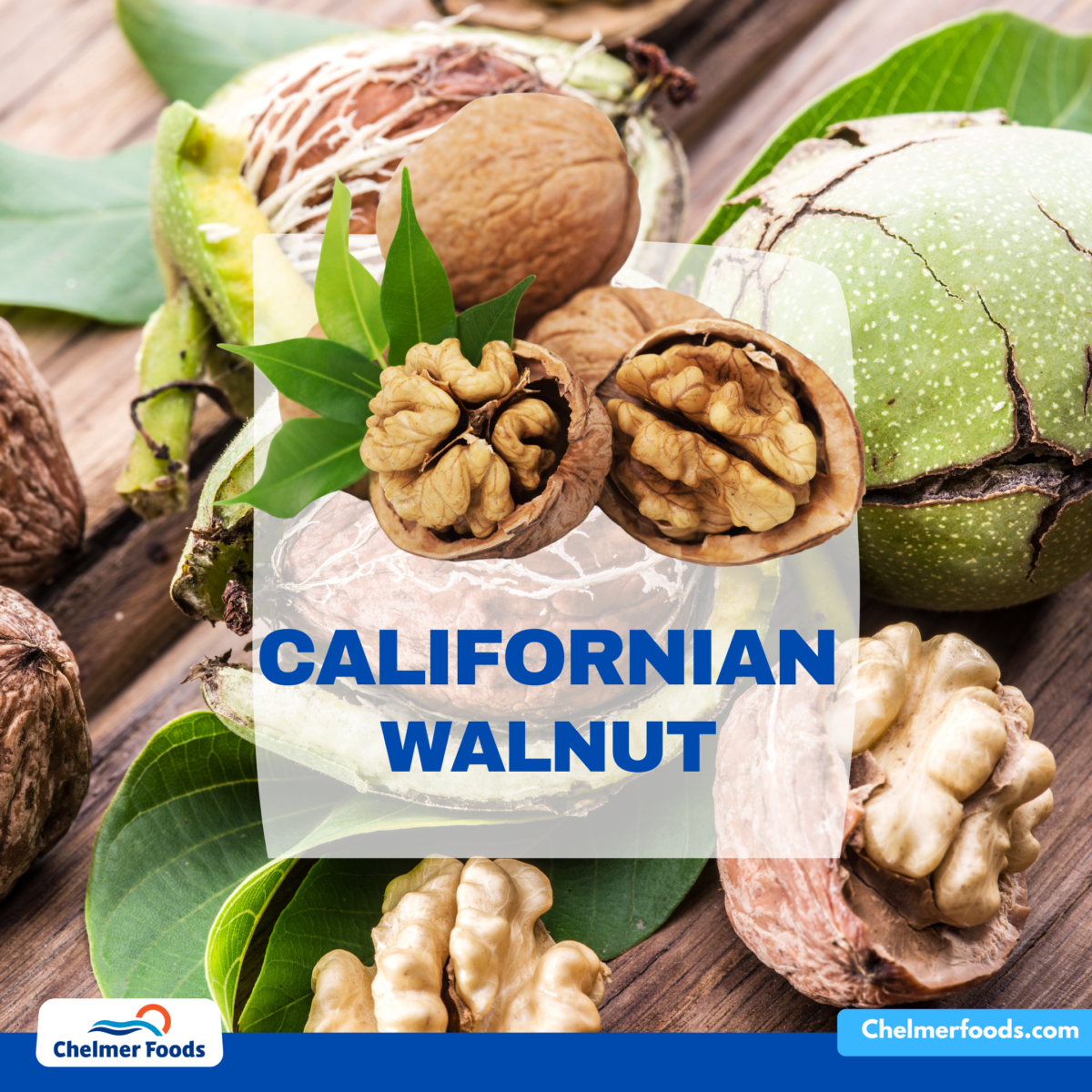 US walnut report, January 2023
