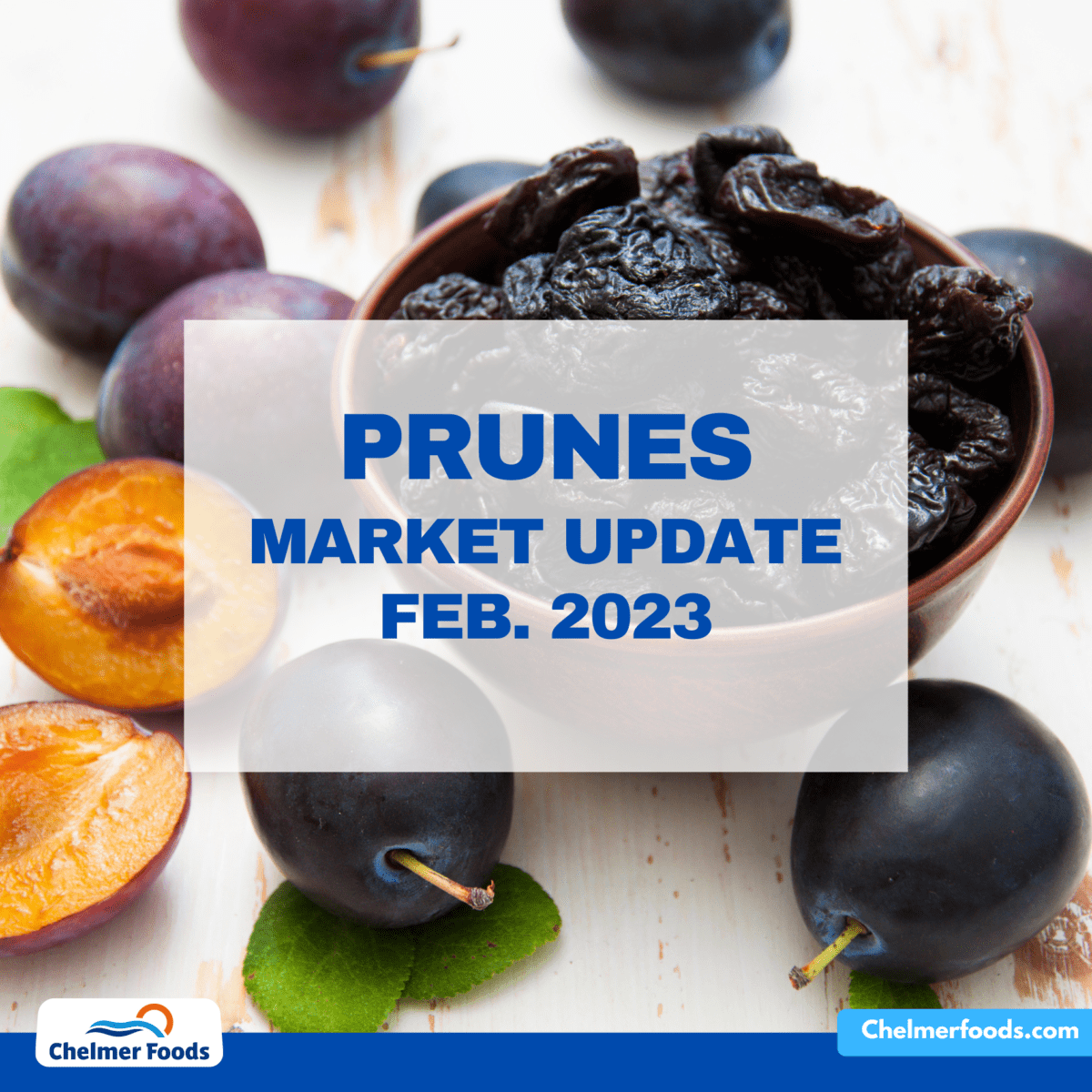 Prunes: optimistic estimates 28.02.2023
