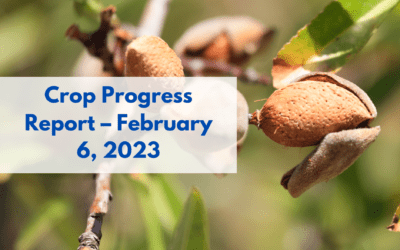 Californian Almond, Crop Progress Report – February 6, 2023