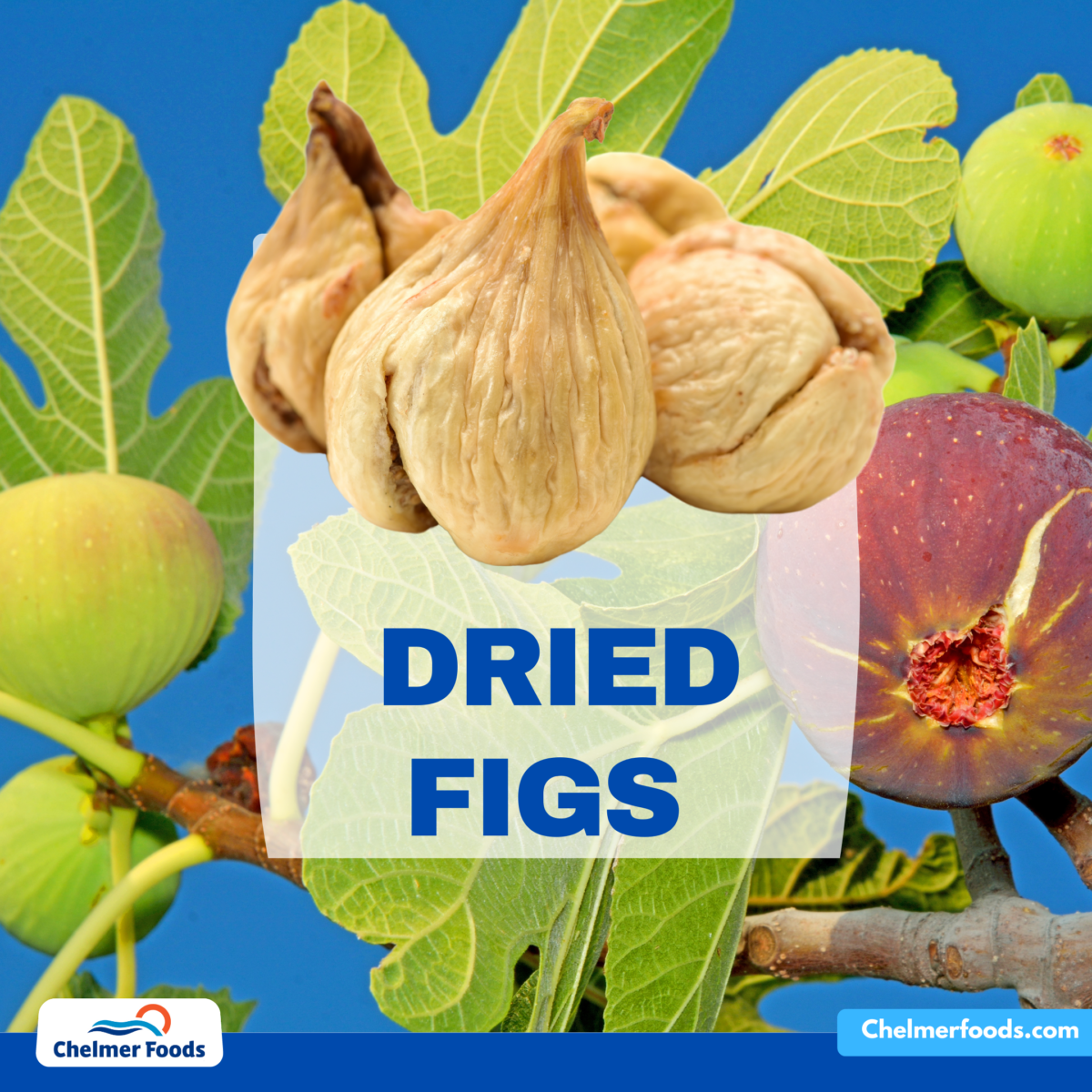 Dried figs: capacities to be shared for months