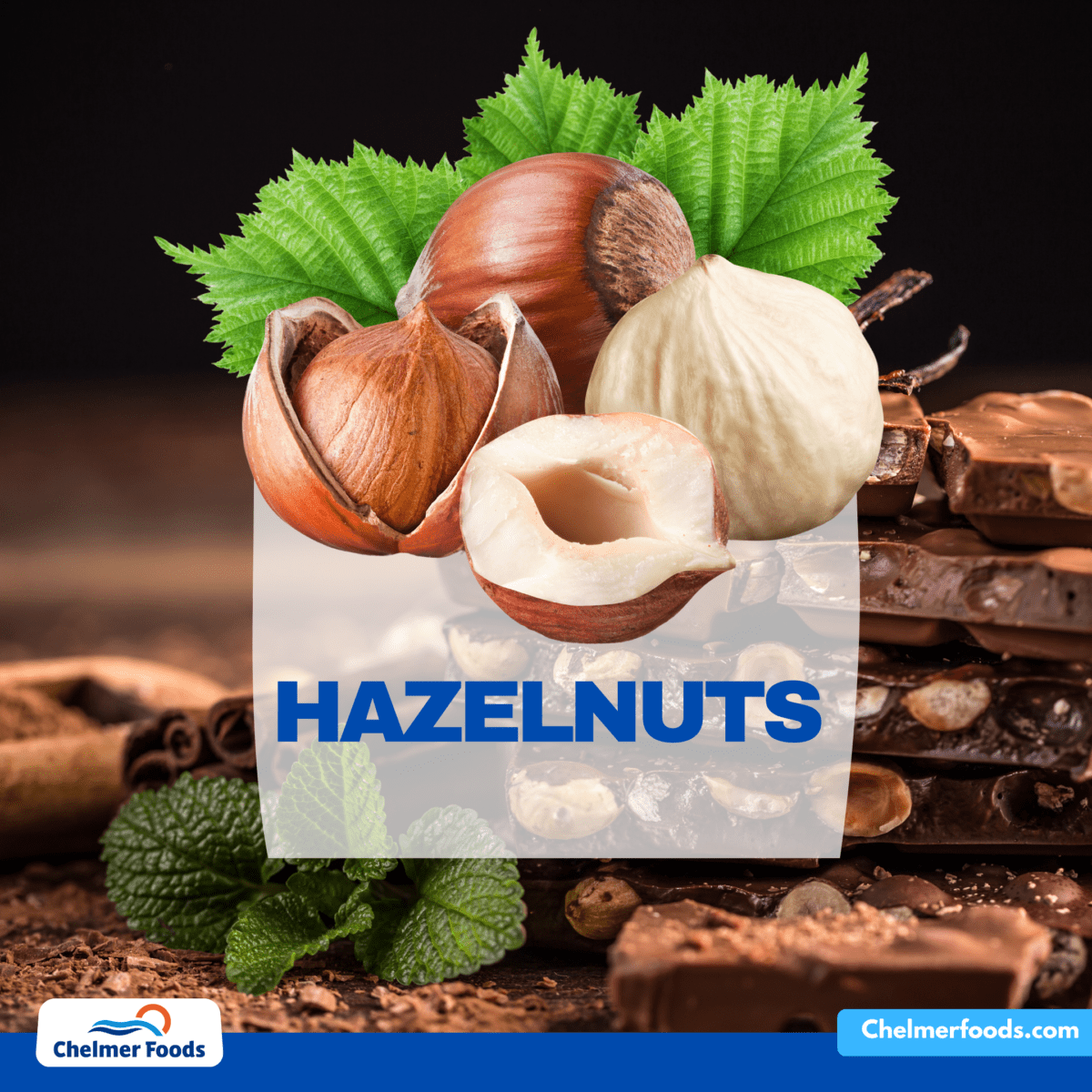 Hazelnuts, market report 10.02.2023