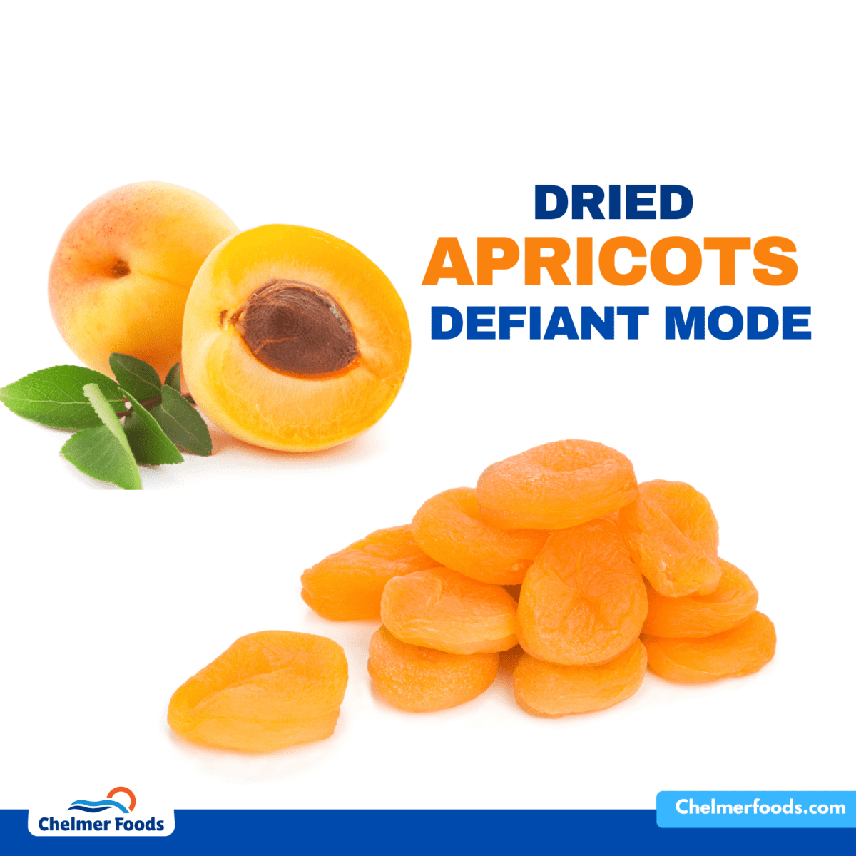 Dried apricots, market update