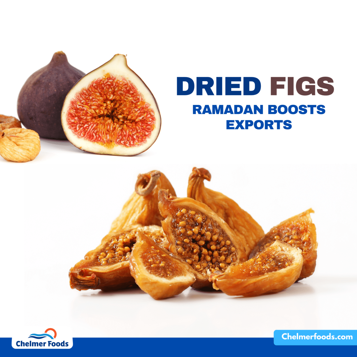 Turkish Dried Figs, Market Update