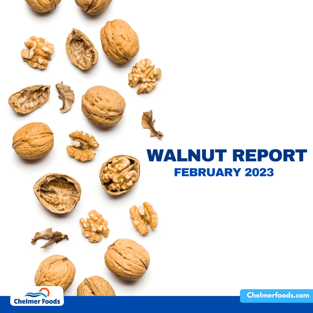 US Walnut Report, February 2023