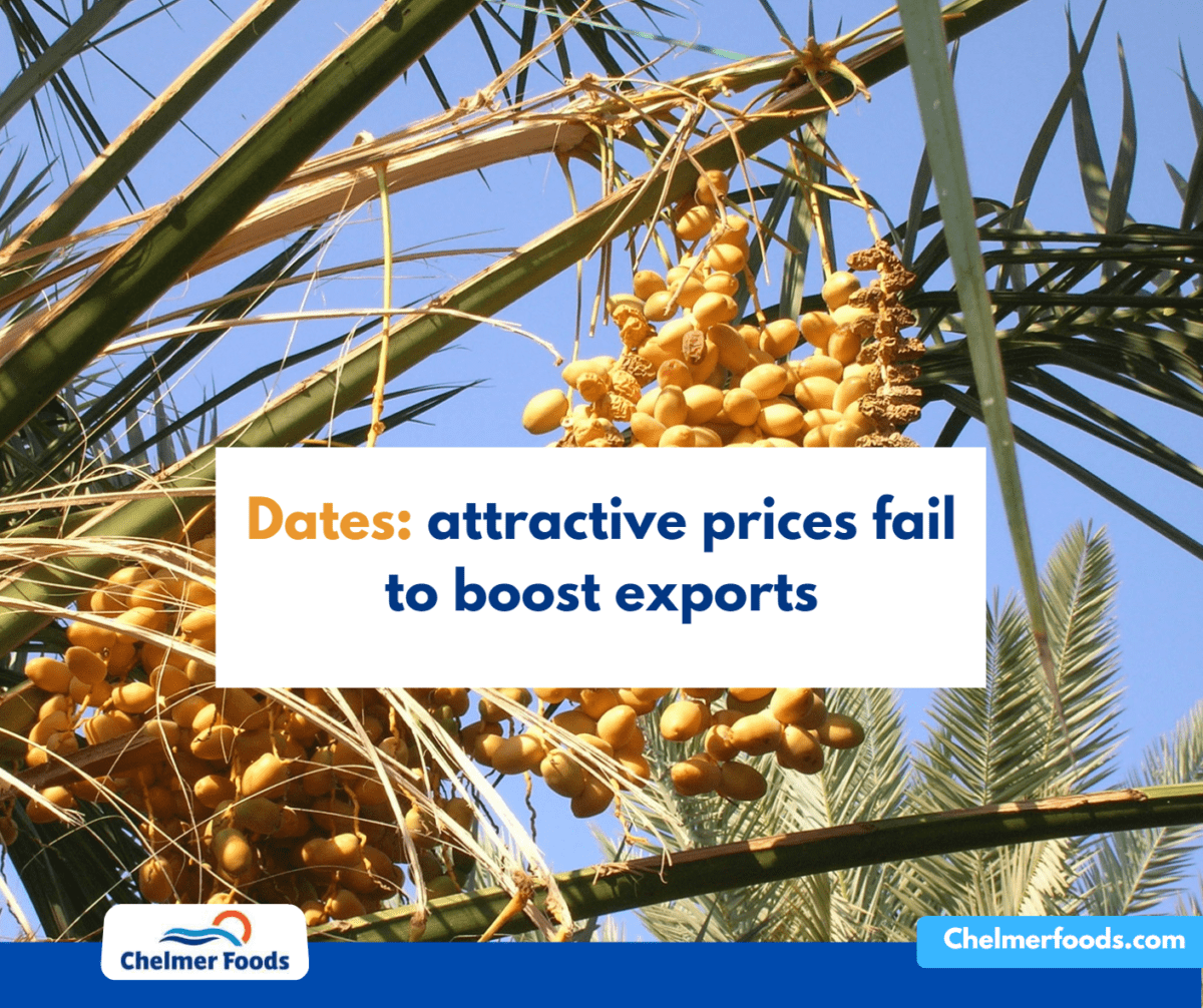 Dates: attractive prices fail to boost exports