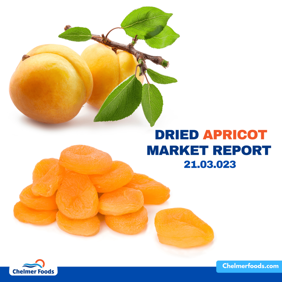 Apricot, Market Report, 21.03.2023