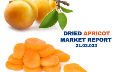 Apricot, Market Report, 21.03.2023