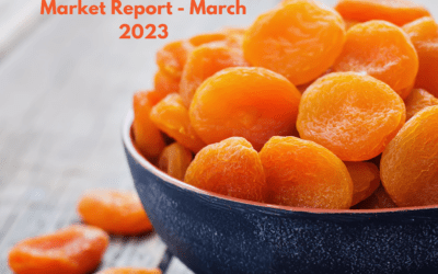 Apricot Market Report 23 03 23