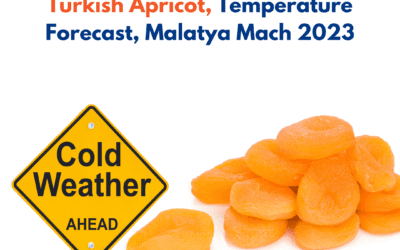 Turkish Apricot, Temperature Forecast, Malatya March 2023