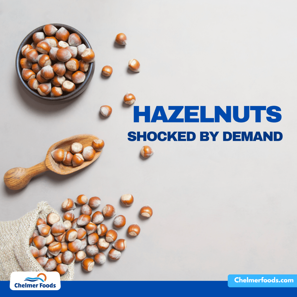 Hazelnuts: shocked by demand