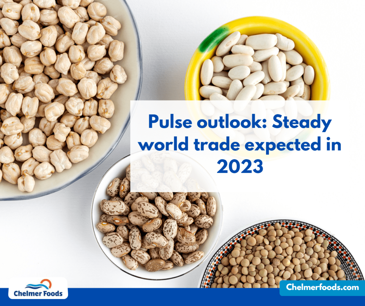 Pulse outlook: Steady world trade expected in 2023