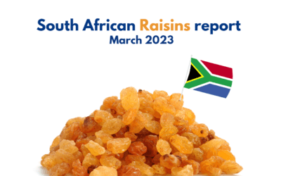 Market Report on Raisin Growing Conditions in South Africa, 03.2023