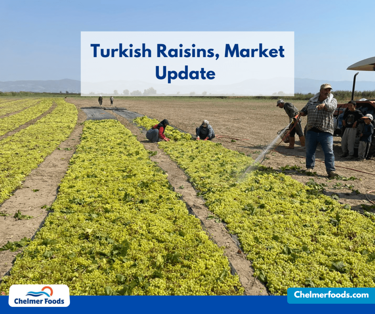 Turkish Raisins Market Update