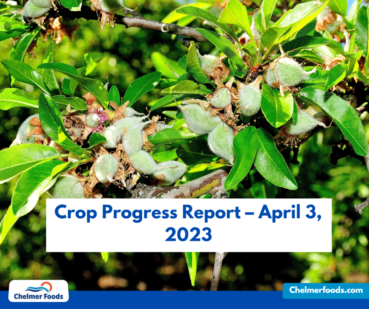 Californian Almond, Crop Progress Report – April 3, 2023