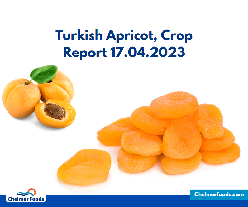 Turkish Apricot, Crop Report 17.04.2023