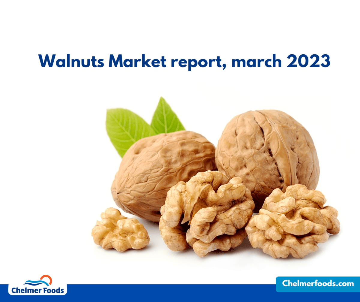 Walnut Market Report, March 2023
