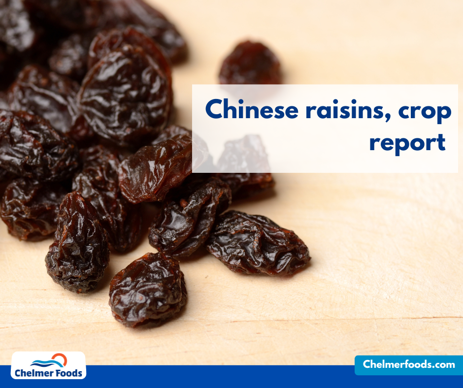 Chinese Raisins, Crop Update, April 2023