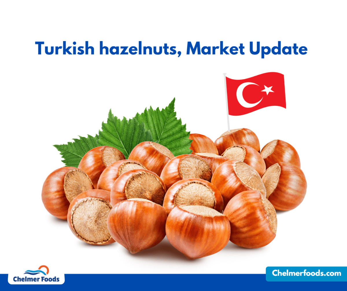 Turkish Hazelnuts, Market Update 03.04.2023