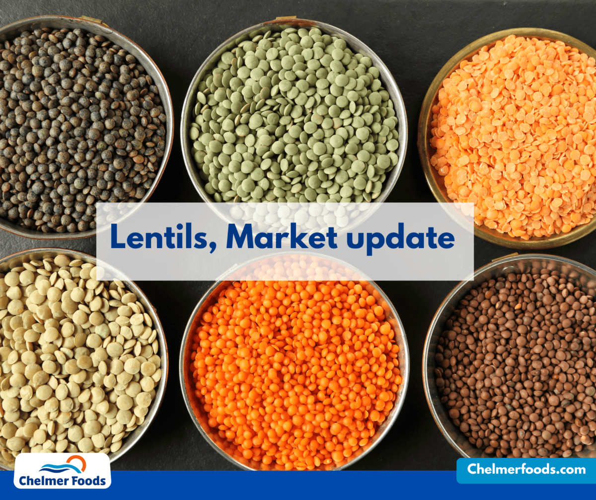 Lentils market update, 21.04.2023