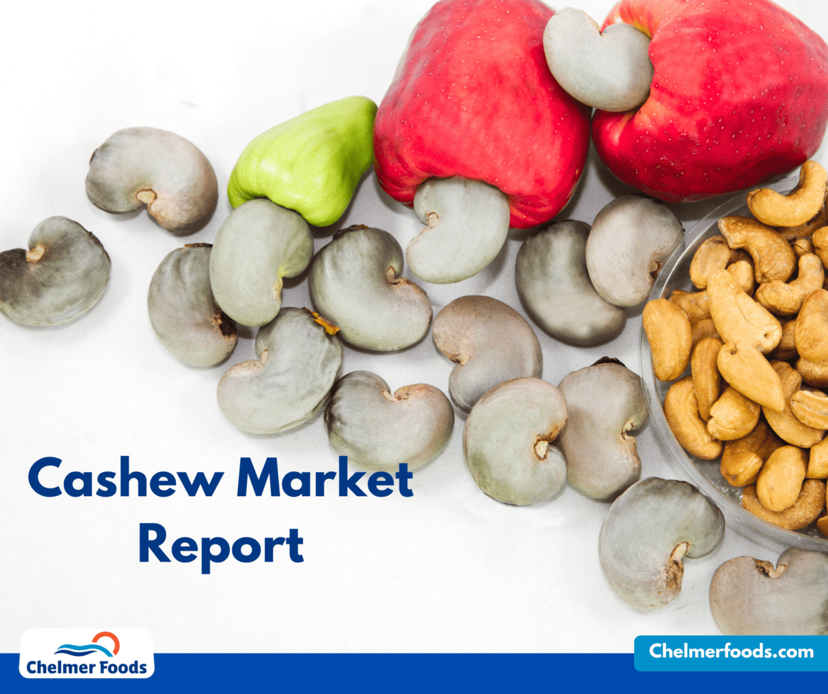 Cashew, Market Update 28.04.2023